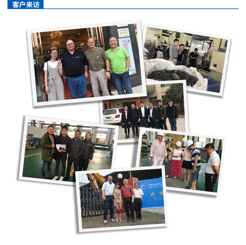 410S矩鞍環(huán)填料公司團隊